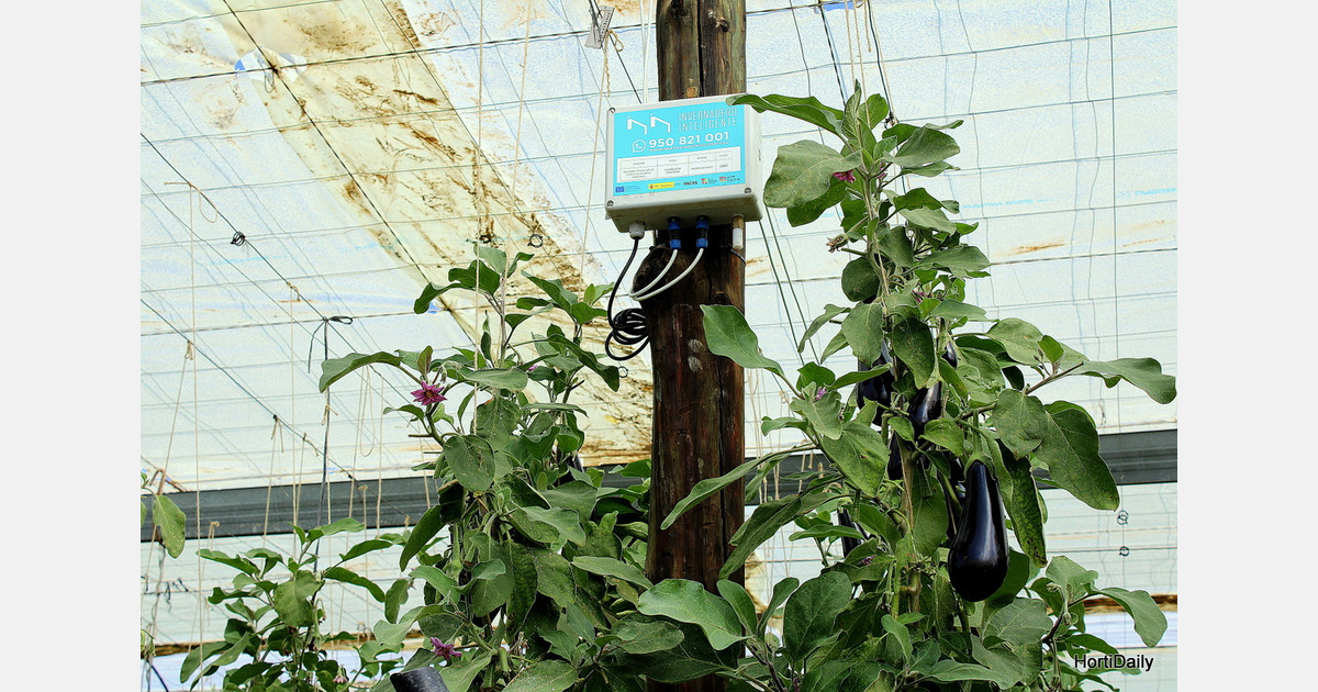 Retrofitting the greenhouse: how Spanish growers are adding digital intelligence to aging infrastructure