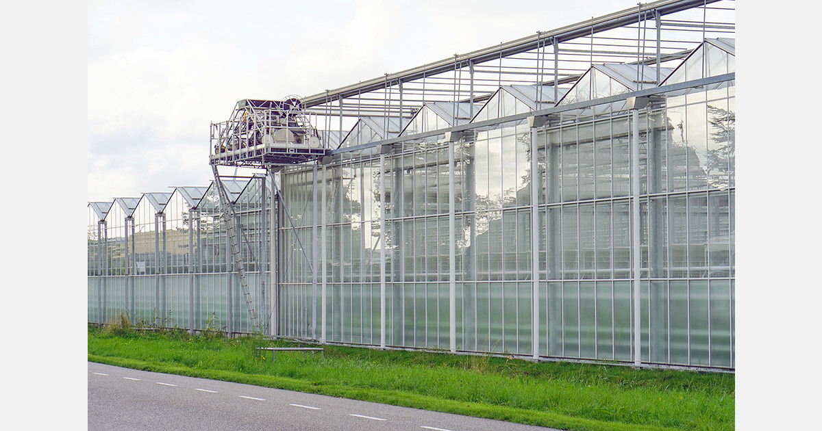 Nigerian greenhouse farming grows to boost yields and exports