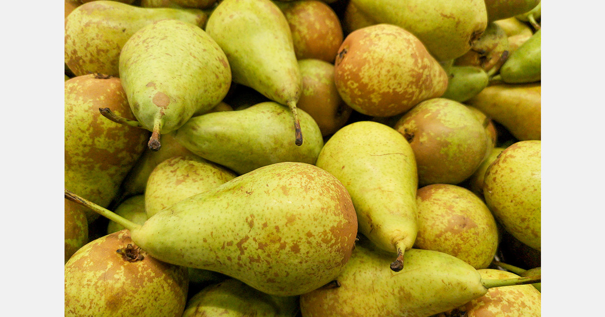 UK Import checks on mediumrisk fruit and vegetables delayed again