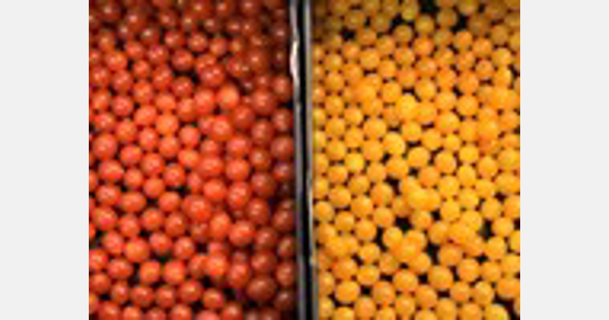 Duitsland kocht meer tomaten uit Marokko en minder tomaten uit Spanje en Nederland