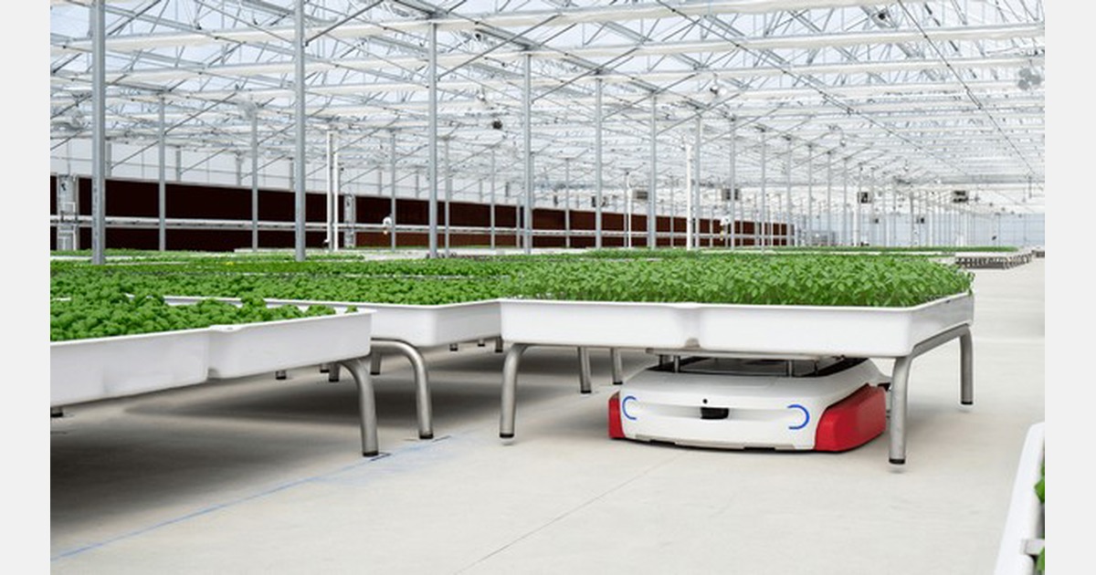 Iron Ox' fresh produce expanding across Southwest