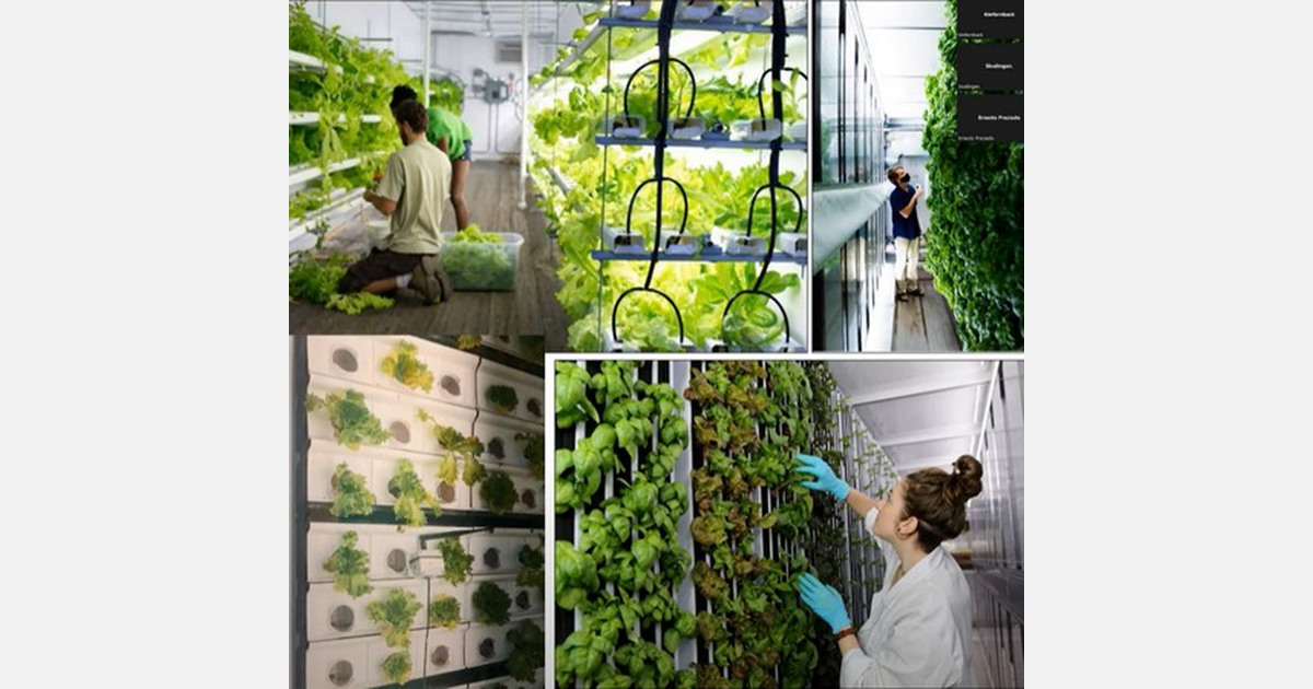 Look back how to start a profitable hydroponic business
