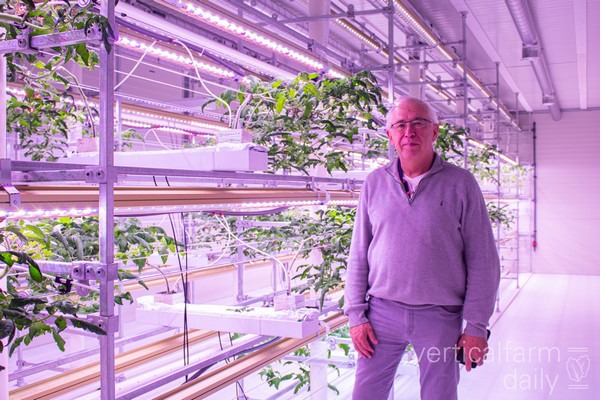Special Year Overview: 10 stories from the Vertical Farming Industry