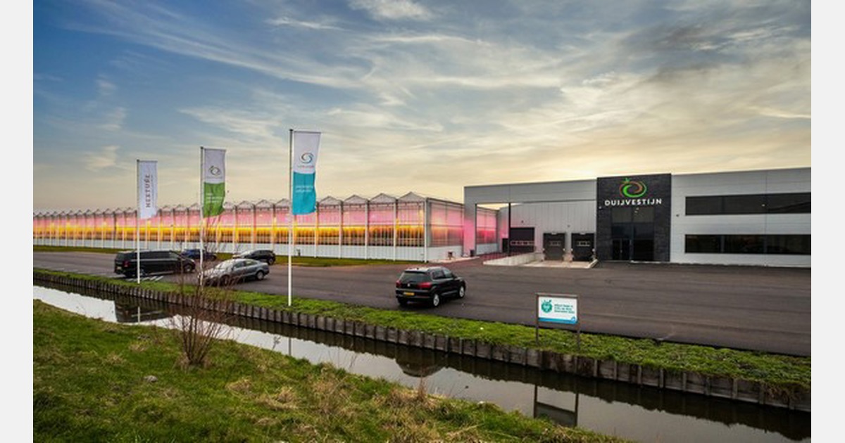 Investor starts EUwide glasshouse network with Dutch acquisition