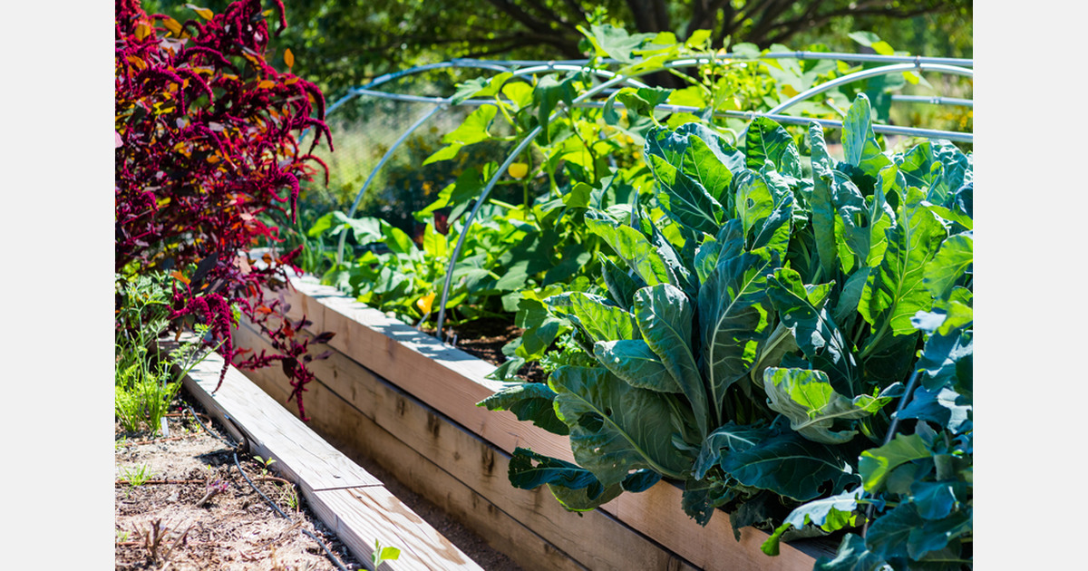 Belgium: Campaigners in Li&egrave;ge want all the region&rsquo;s produce to be grown locally