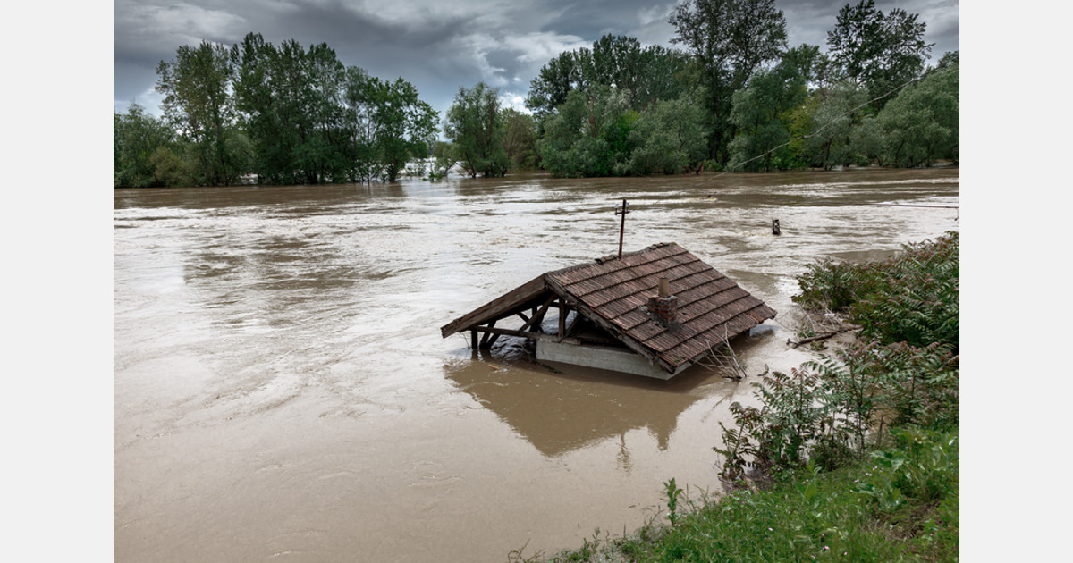 Jamaican government says assistance on the way for growers following