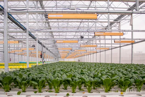 ADAMA and Lod Municipality inaugurated research greenhouse