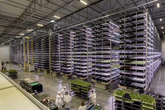 Leafood farm in Vilnius, Lithuania Leafood farm in Vilnius, Lithuania