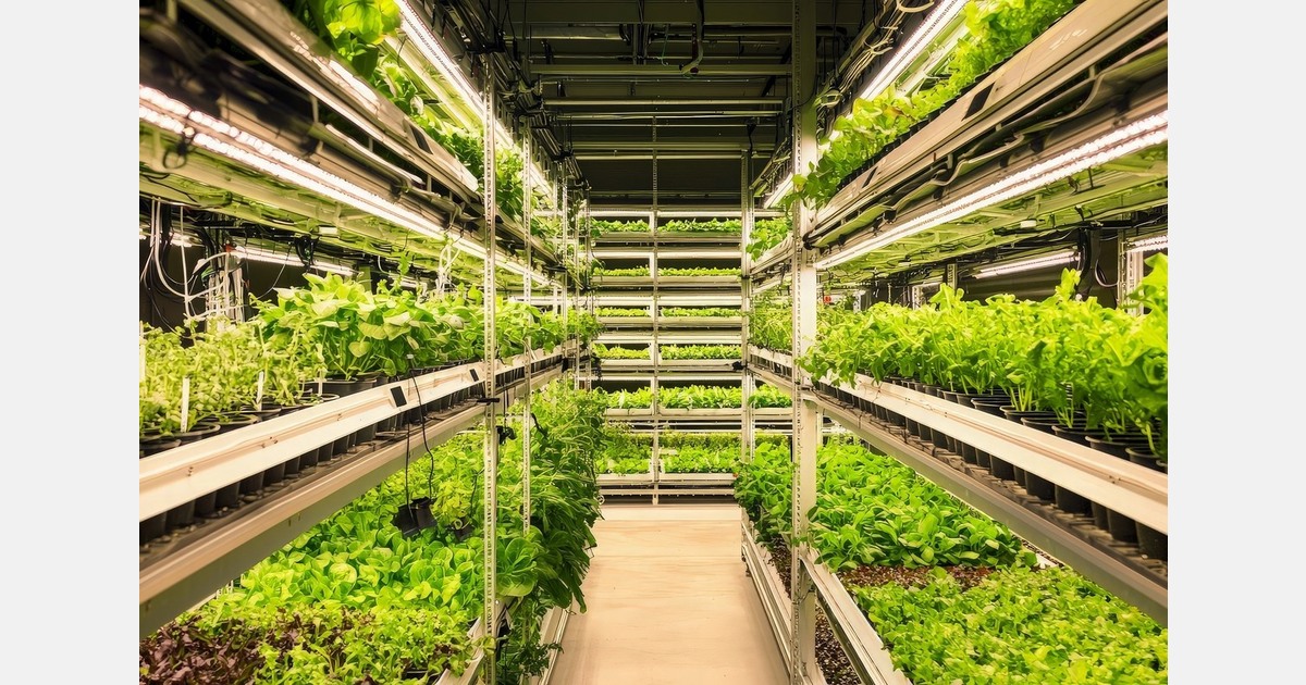 Bangladesh: Allowing science and sustainability to thrive in growing