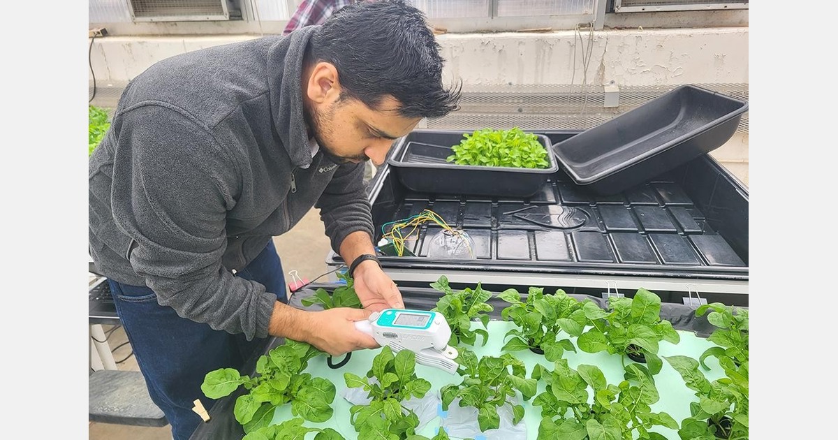 Low-cost sensor system detects plant salt stress before visible damage occurs