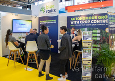 A busy stand of Blue Radix