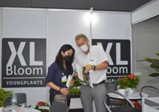 XL Bloom Young Plants was explaining about their new varieties.