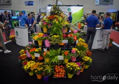 A bright creation full of flowers and vegetables at Plant Products