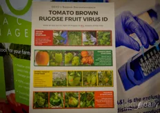OGVG pointed out the dangers of ToBRFV. The virus is making growers in the region switch to strawberry cultivation, among others.
