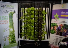 Lettuce in Growfoam from Foamplant in cultivation towers at ZipGrow