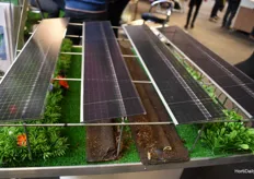 Agri-PV: putting photovoltaics over your crop could improve your ROI