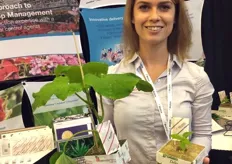 #Bioline at the CGC'18, highlighting young cucumber & pepper plants with sachets on a stick. 