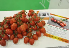 Tomato innovations for Cora Seeds
