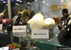 Sativa's white aubergine