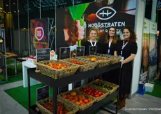 The various tomatoes of Hoogstraten were beautifully displayed