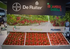 Varieties of Bayer, De Ruiter and Istanbul Tarim are popular among growers.